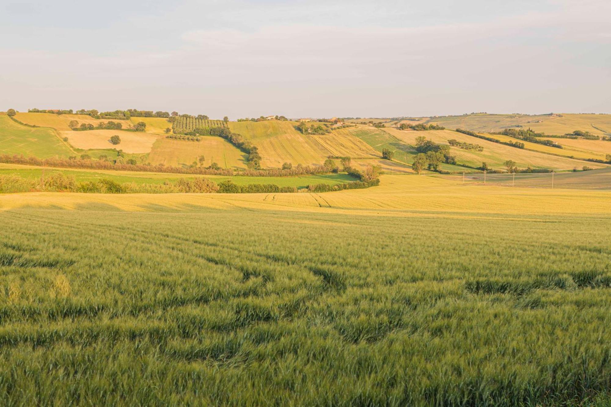 Agri Divin Amore San Costanzo Exterior foto