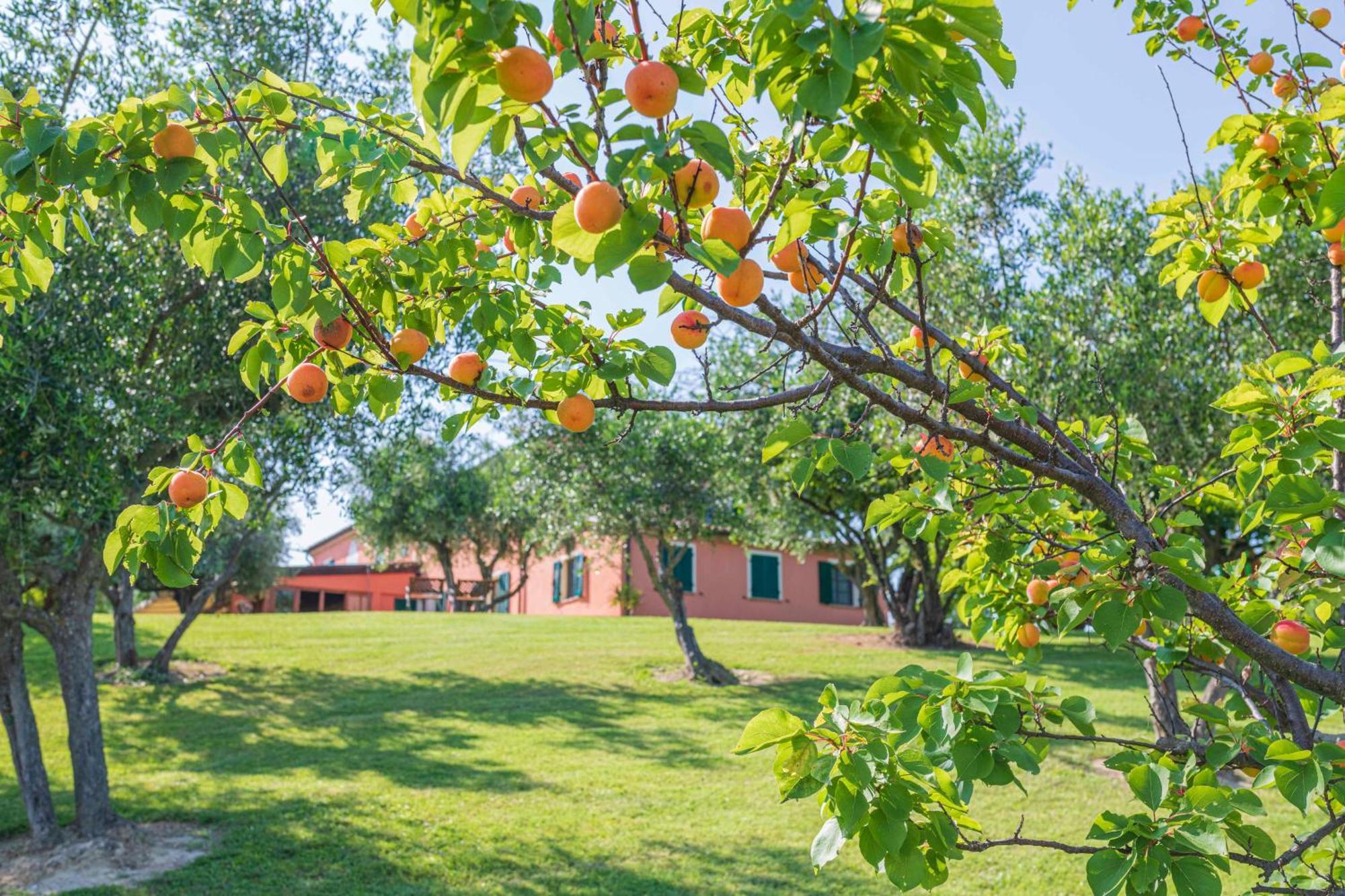 Agri Divin Amore San Costanzo Exterior foto